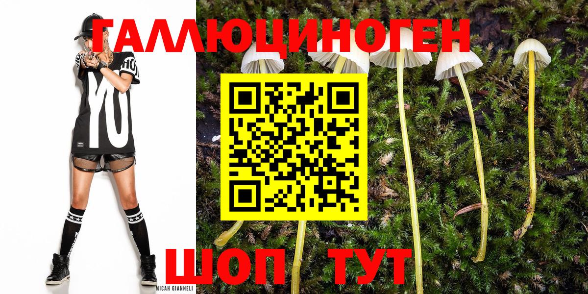 Галлюциногенные грибы GOLDEN TEACHER Фрязино