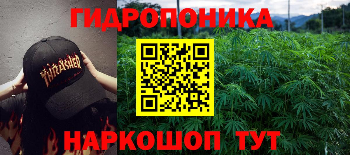 Бошки марихуана Bruce Banner  Марихуана Ganja  Вход с VPN  Шишки марихуана Bruce Banner  Бошки марихуана MAZAR  Фрязино 